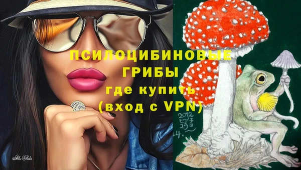 ГАЛЛЮЦИНОГЕННЫЕ ГРИБЫ Алексин