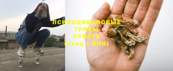 ГАЛЛЮЦИНОГЕННЫЕ ГРИБЫ Алексин