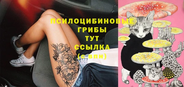 эйфоретик Алзамай