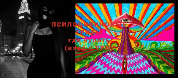 тгк Алексеевка