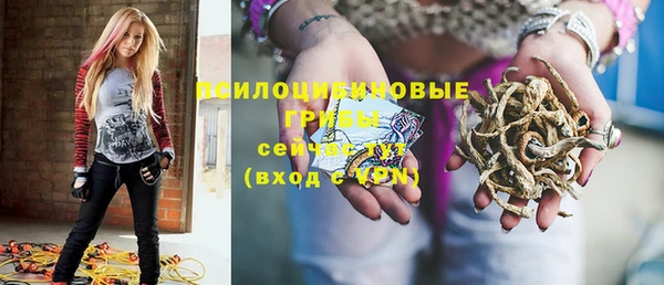 ГАЛЛЮЦИНОГЕННЫЕ ГРИБЫ Алексин